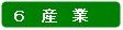 分類：６　産業